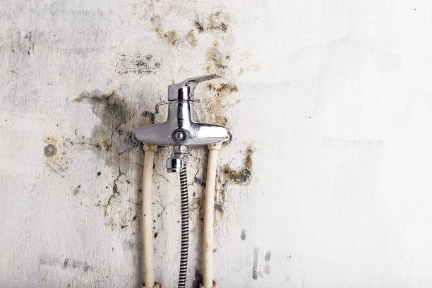 Best Residential Mold Remediation in Lovejoy, GA