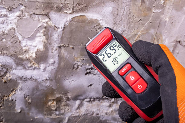 Best Crawl Space Mold Remediation in Lovejoy, GA